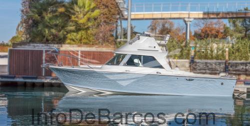 Riva 25 ficha técnica y opiniones